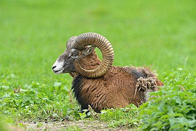 3DM速报：动视暴雪CEO承诺将做出改变 《仙剑奇侠传7》10月15发售