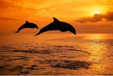 重生星战FPS：受《黑暗力量》系列启发剧情驱动